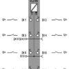 750-431/040-000 - Görsel 4