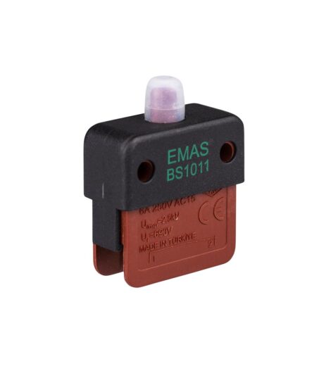 BS1011E