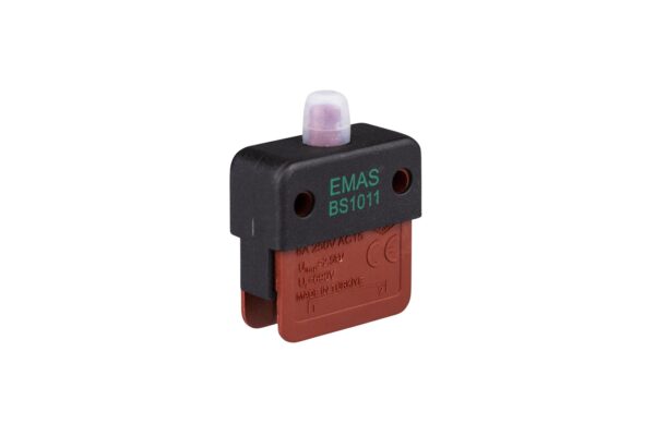 BS1011E