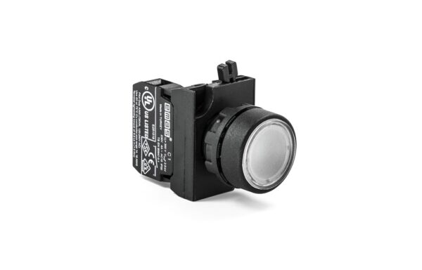 CP100DB