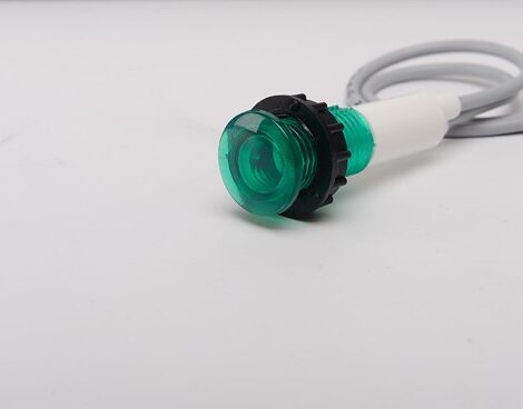 S100LY