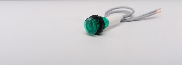 S100LY